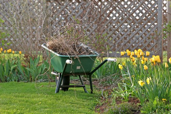 Flower Bed Cleanup Service in Roseville