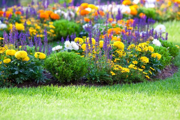 Flower Bed Maintenance in Roseville