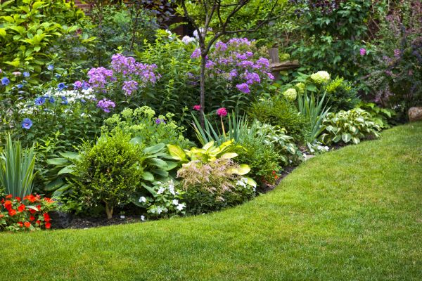 Flower Bed Service in Roseville