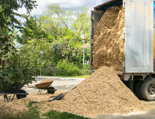 Wood Chips Delivery in Roseville