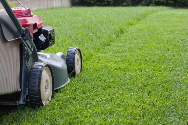 Residential Lawn Care