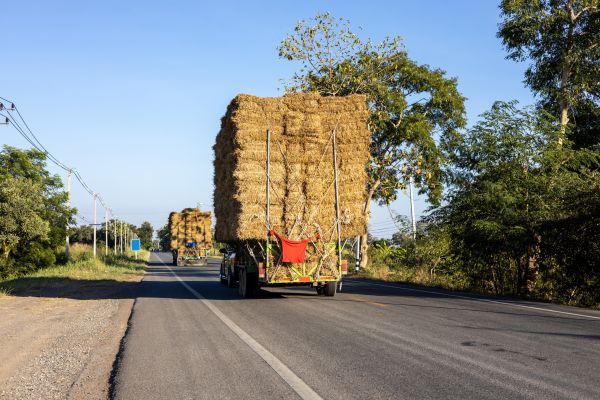 Pine Straw Delivery in Roseville
