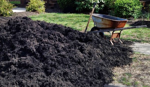 Black Mulch Delivery in Roseville