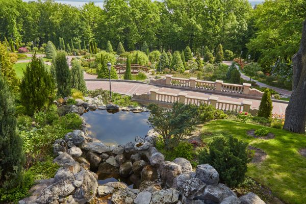 Landscape Architecture Service in Roseville