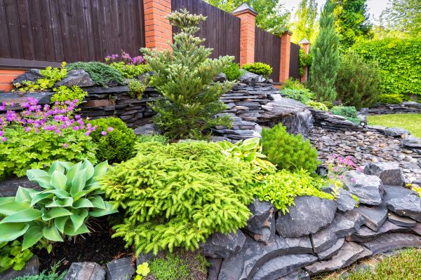 Landscape Remodeling in Roseville