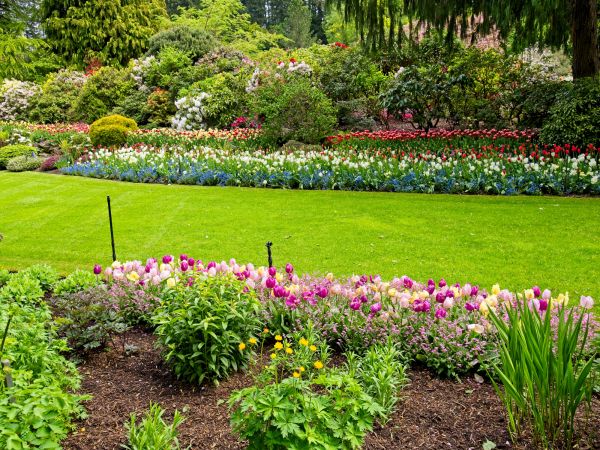 Residential Landscape Design in Roseville