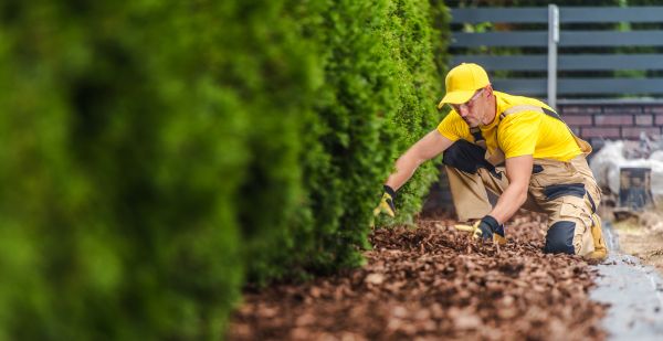 Cypress Mulch Installation in Roseville