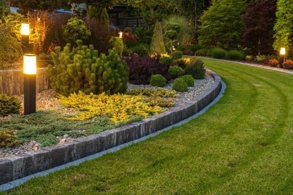 Garden Repair Service in Roseville