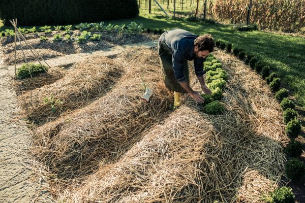 Straw Mulching Service in Roseville
