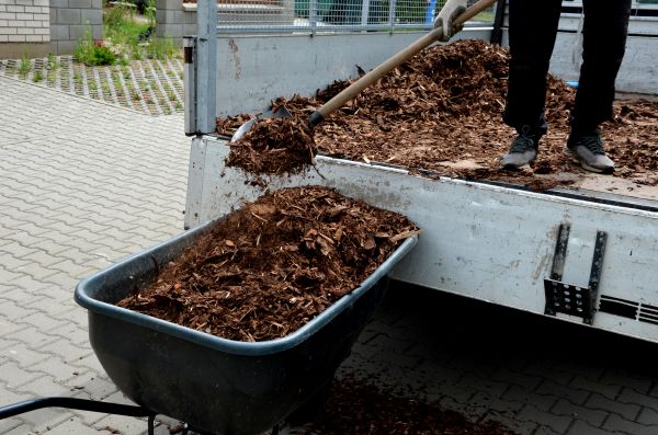 Landscape Mulch Delivery in Roseville