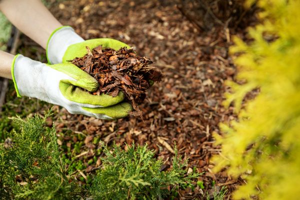 Garden Mulch Delivery in Roseville