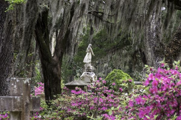 Cemetery Landscaping in Roseville
