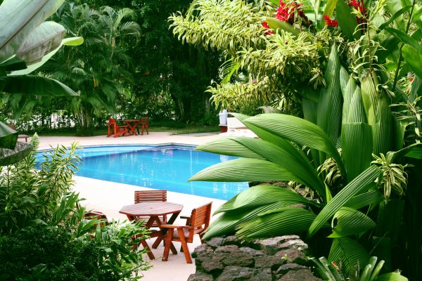 Tropical Garden Landscaping in Roseville