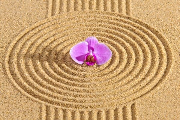 Sand Garden Landscaping in Roseville