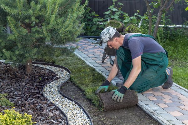 Landscaping Modification in Roseville