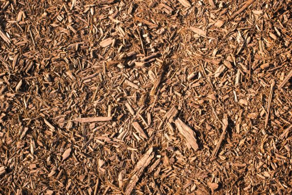 Wood Chips Removal in Roseville