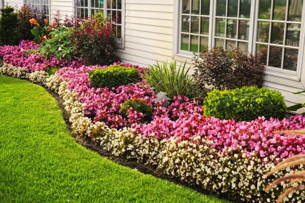 House Landscaping in Roseville