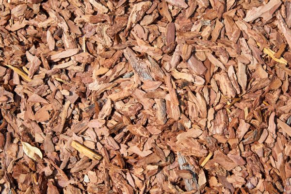 Pine Mulch Spreading in Roseville
