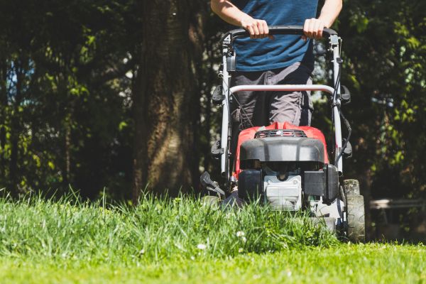 Garden Trimming Service in Roseville