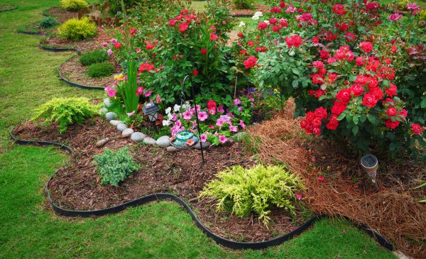 Floral Landscaping in Roseville