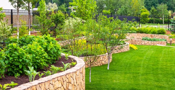 Yard Makeover Service in Roseville