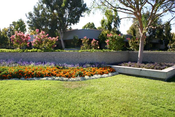 Commercial Landscape Service in Roseville