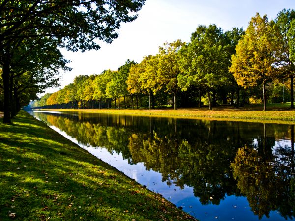 Bank Landscaping in Roseville