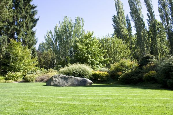 Yard Enlargement in Roseville