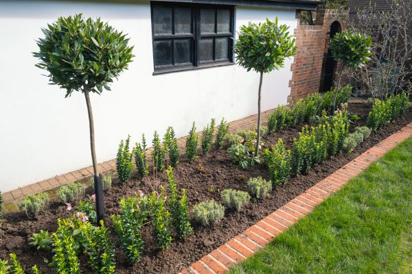 Plant Bed Edging