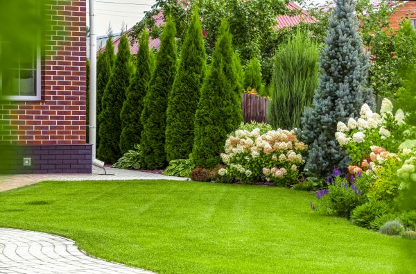 Spring Landscaping in Roseville