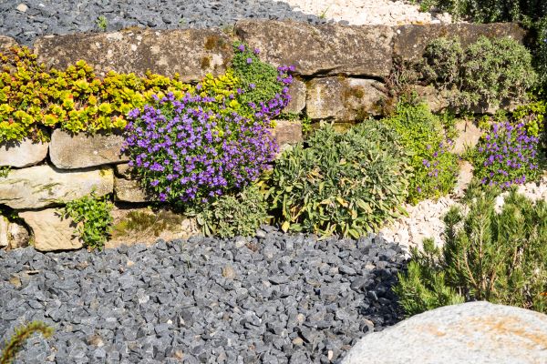Landscaping Rocks Installation in Roseville