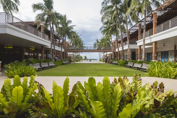 Commercial Lawn Renovation in Roseville