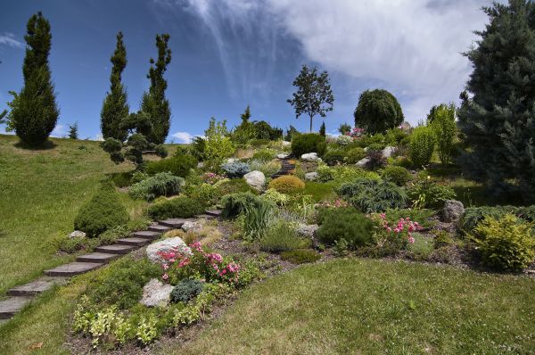 Steep Terrain Landscaping in Roseville
