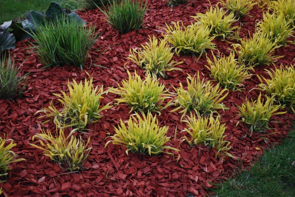 Red Mulch Installation in Roseville