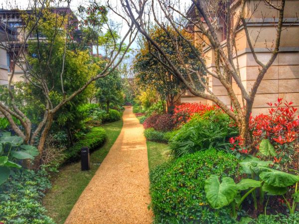 Townhouse Yard Design