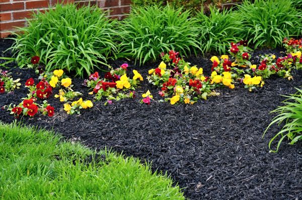 Apartment Mulching in Roseville