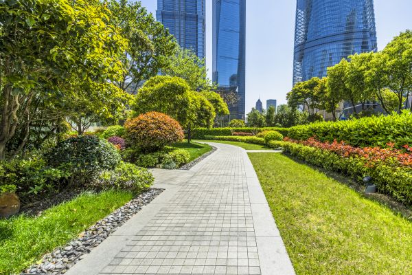 Commercial Landscaping in Roseville