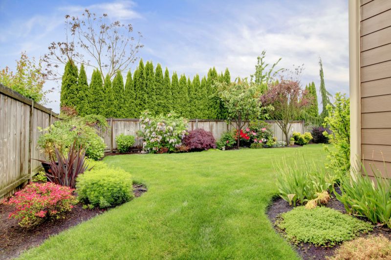 Backyard Landscaping Service