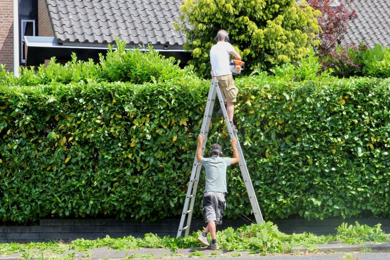 Hedge Replacement